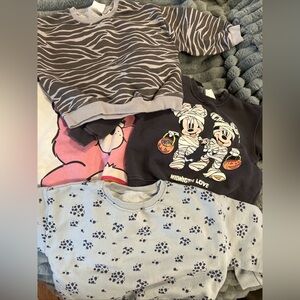 Bundle Of 4 Zara Toddler Girl Sweatshirt Size 2-3 Years Care Bear Mickey zebra
